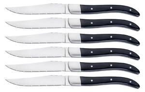 Set 6 Coltelli da Bistecca Lama Seghettata Manico in Acrilico Alì Nero