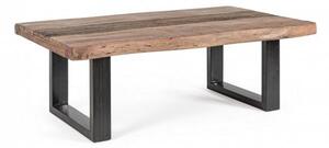 Tavolino Basso 120x70x42 cm in Acciaio e Legno