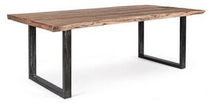 Tavolo da Pranzo 220x100x77 cm in Acciaio e Legno