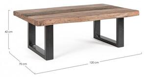 Tavolino Basso 120x70x42 cm in Acciaio e Legno