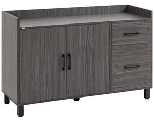 Mobile 2 Ante 2 Cassetti 120x40x80 cm in Legno Grigio