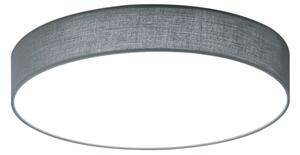 Plafoniera da Interno a LED in Metallo Nickel Opaco