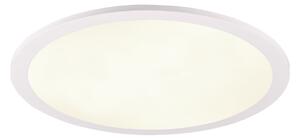 Plafoniera da Interno a LED in Plastica Bianco