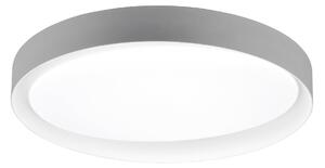 Plafoniera da Interno a LED in Plastica Grigio