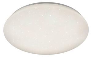 Plafoniera da Interno a LED in Plastica Bianco