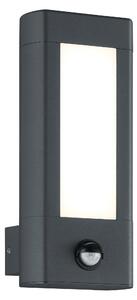 Applique da Esterno a LED in Pressofusione di alluminio Antracite