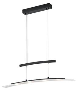 Lampada a Sospensione da Interno a LED in Metallo Nero Opaco