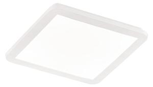 Plafoniera da Interno a LED in Plastica Bianco