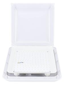 Plafoniera LED 30W, IP66, IK10, Classe II, dim. 300x300mm + Sensore di Movimento - serie Professional Colore Bianco Naturale 4.000K