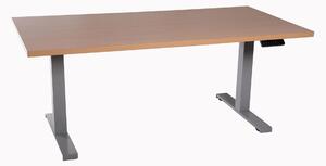Scrivania regolabile in altezza, colore grigio chiaro. Piano in legno impiallacciato noce, resina melamminica, dimensioni 160x80 cm