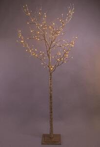 Faggio H210 cm con 192 Led e Movimento per interno