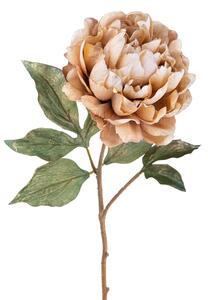 Set 6 Peonia Br/Gold H57 cm Beige