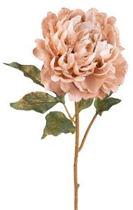 Set 6 Peonia Br/Gold H57 cm Cipria
