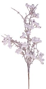 Set 6 Ramo di Rosa Selvatica H73 cm Bianco