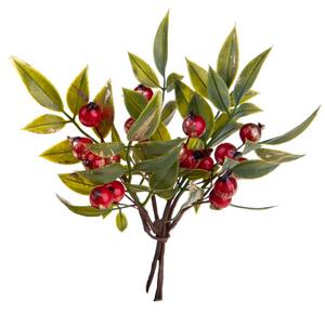 Set 12 Pick Ruscus 16 cm Rosso/Verde