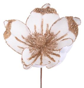 Set 12 Pick Magnolia 15 cm Crema