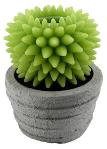Candela led cactus con vaso fontana cm Ø23xh28