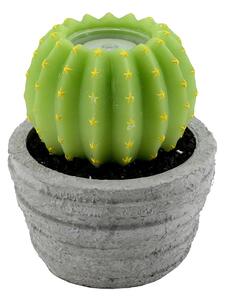 Candela led cactus con vaso fontana cm Ø23xh28