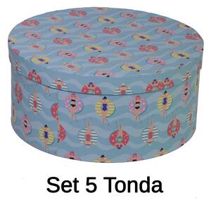Set 5 Scatole cartone piscina tondo