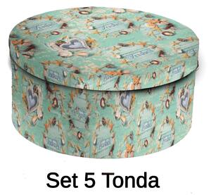 Set 5 Scatole cartone conchiglie tondo