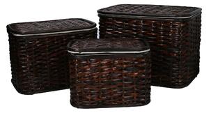 Set 3 scatola vinini noce