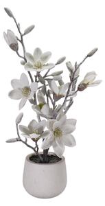 Fiore magnolia bianco neve con vaso cm Ø13,5xh68