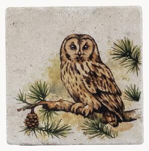 Set di 4 sottobicchieri Tawny Owl