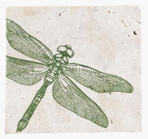 Set di 4 sottobicchieri Dragonfly