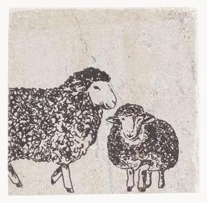 Set di 4 sottobicchieri Sheep