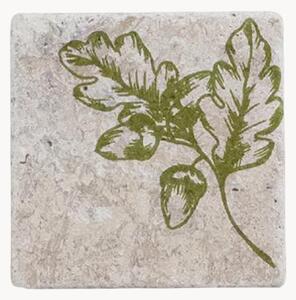 Set di 4 sottobicchieri Acorn