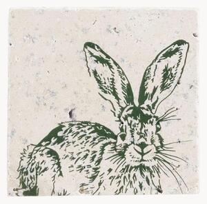 Set di 4 sottobicchieri Hare