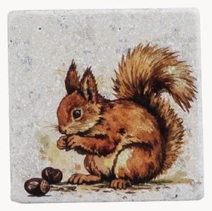 Set di 4 sottobicchieri Squirrel