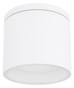 Globo 32063W - Plafoniera da esterno ALCALA 1xGX53/11W/230V IP44