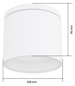 Globo 32063W - Plafoniera da esterno ALCALA 1xGX53/11W/230V IP44