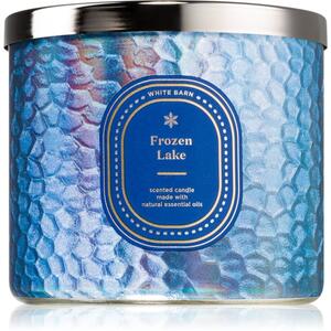 Bath & Body Works Frozen Lake candela profumata 411 g
