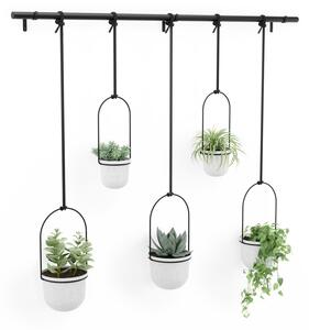 Set di coprivaso in plastica per erbe aromatiche/da appendere/parete 5 pz ø 7,5 cm Triflora – Umbra