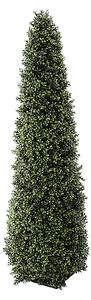 Foglie di Bosso Cono H 145 cm