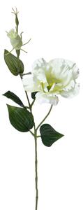 Set 12 Rami Artificiali Lisianthus 2 Fiori H 60 cm