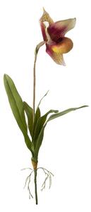 Set 3 Rami Artificiali Orchidea 64 cm Scarpetta con Foglie
