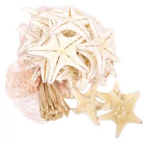 Set 60 Stelle Bianche in Rete H 7 cm