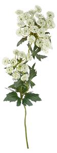 Set 4 Piante Artificiali Achillea Composta da 2 Fiori H 76 cm