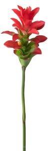 Set 4 Rami Artificiali Ginger Fiore con Foglie 100 cm