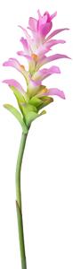 Set 4 Rami Artificiali Ginger Fiore con Foglie 100 cm