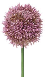 Set 6 Fiori Artificiali di Allium H 66 cm