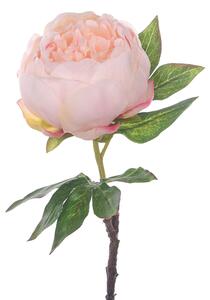 Set 6 Rami Artificiali Peonia H 48 cm