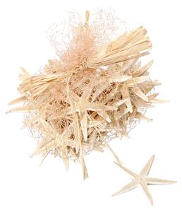 Set 600 Stelle Marine in Rete 25x35 cm