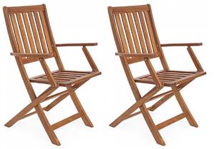Set 2 Sedie da Giardino 58x60x92h cm con Braccioli Mali Piegh