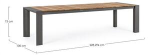 Tavolo Allungabile da Giardino 228-294x100x75h cm Cameron Antracite