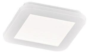 Plafoniera da Interno a LED in Plastica Bianco
