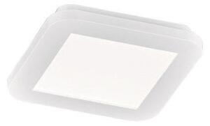 Plafoniera da Interno a LED in Plastica Bianco